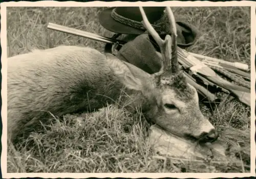 Foto  Jagd / Jäger geschossenes Reh Hut Büchse 1940 Privatfoto