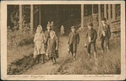 Sachsen Bilder aus dem Erzgebirge. Aus der Heidelbeerernte.Typen 1926