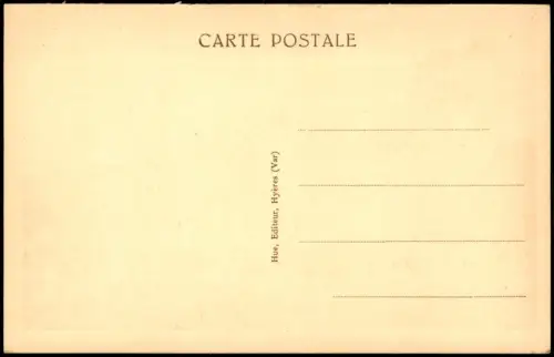 CPA Hyères-les-Palmiers Umland-Ansicht Une vue panoramique 1920