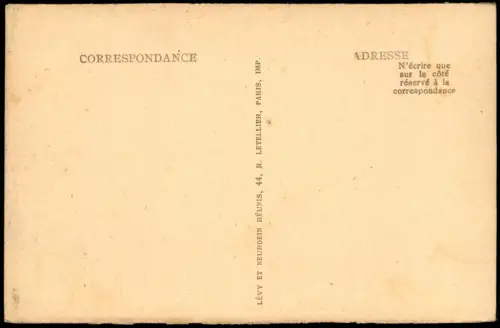 CPA Luçon Le Jardin Dumaine, Park Anlage 1910