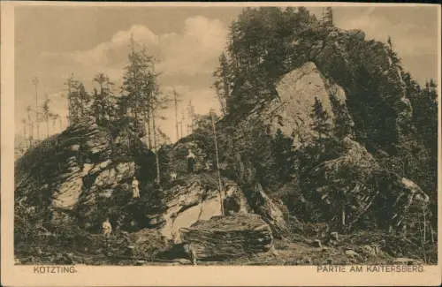 Ansichtskarte Bad Kötzting Partie am Kaitersberg Wanderer 1927