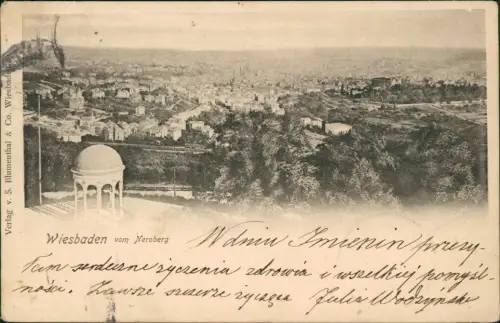 Ansichtskarte Wiesbaden Pavillion - Blick von Neroberg 1901