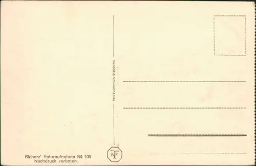 Ansichtskarte Kamp-Bornhofen BURG LIEBENSTEIN BEI BORNHOFEN AM RHEIN 1920