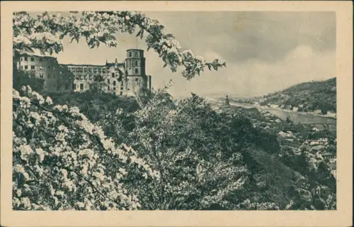 Ansichtskarte Heidelberg Panorama-Ansicht zur Baum Blütezeit 1950