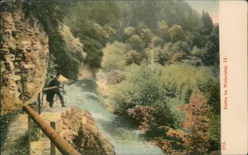 Titisee-Neustadt Wutachschlucht Wutachthal Partie Mann am Fluss 1910
