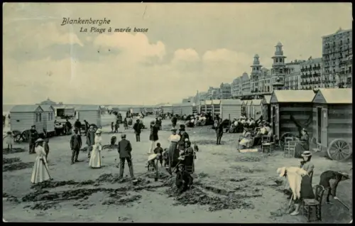 Postkaart Blankenberge Blankenberghe Strand La Plage à marée basse 1905
