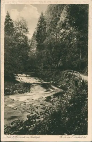 Ansichtskarte Bad Berneck im Fichtelgebirge Partie im Oelschnitztal. 1926
