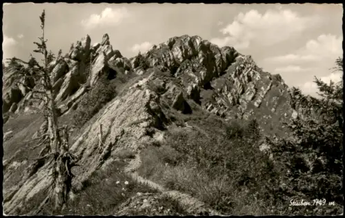 Ansichtskarte .Bayern Bayern Landschaft Berg Blick zum Stuiben 1749 m 1960