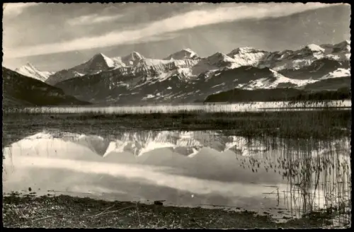 Ansichtskarte Interlaken Thunersee mit Alpen-Panorama 1955