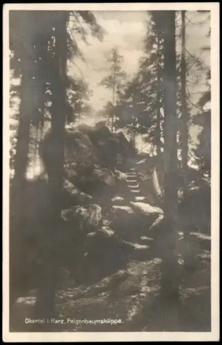 Ansichtskarte Oker-Goslar Okertal im Harz Feigenbaumsklippe 1929
