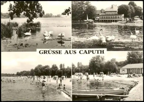 Caputh-Schwielowsee DDR Mehrbild-AK mit 4 Ortsansichten Fährhaus, Seebad 1973