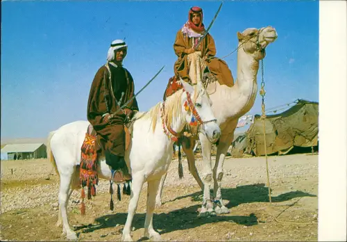 Postcard .Israel BEDUIN HORSEMEN BEDUINEN REITER 1971