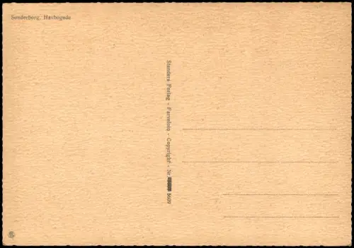 Postcard Sonderburg Sønderborg Straßenpartie. Havbogade 1968