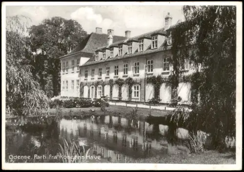 Postcard Odense (Dänemark) Parti fra Kongens Have 1929