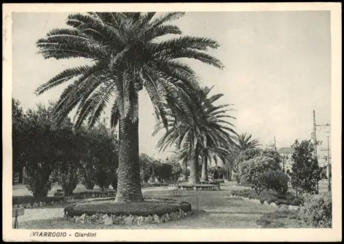 Cartolina Viareggio Giardini 1934