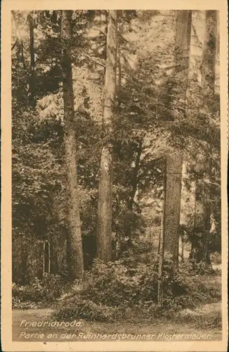 Ansichtskarte Friedrichroda Partie an der Reinhardsbrunner Klostermauer 1928