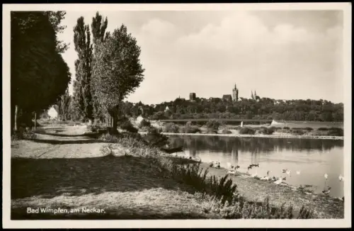 Ansichtskarte Bad Wimpfen Partie am Neckar 1935