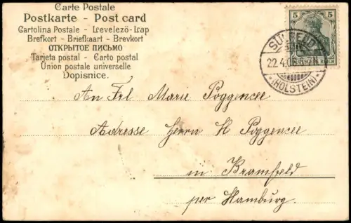 Liebe Liebespaare 2 Verliebte, romantisch Blumen-Verziehrung Künstlerkarte 1906