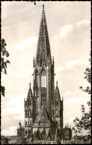 Ansichtskarte Freiburg im Breisgau Münster. Blick von Ost nach West 1962