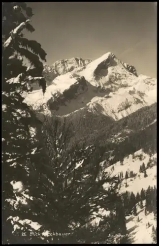 Garmisch-Partenkirchen Blick vom Eckbauer Alpen Gletscher Fotokarte 1925