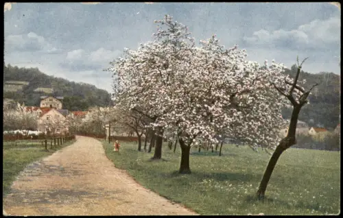 Ansichtskarte  Stimmungsbild: Frühling Weg zur Stadt Baumblüte 1919