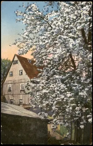 Ansichtskarte  Stimmungsbild: Frühling Baumblüte Haus 1915