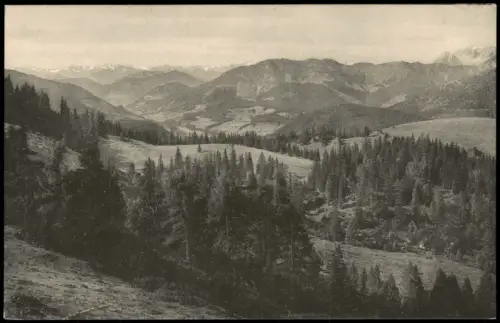 Ansichtskarte Gosau Aussicht von der Zwieselalm Zwieselalpe 1913