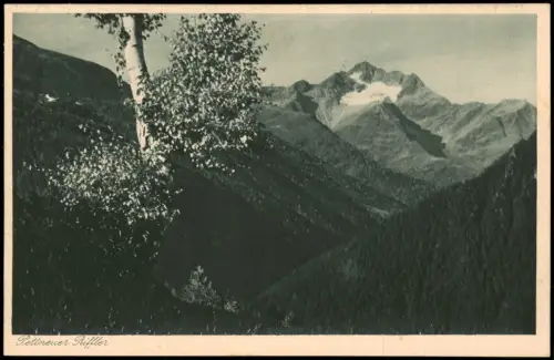 Ansichtskarte Pettneu am Arlberg Pettneuer Riffler. 1928
