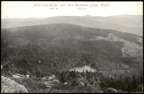 Ansichtskarte Spiegelau Blick vom Rachel nach dem Rachelsee 1914