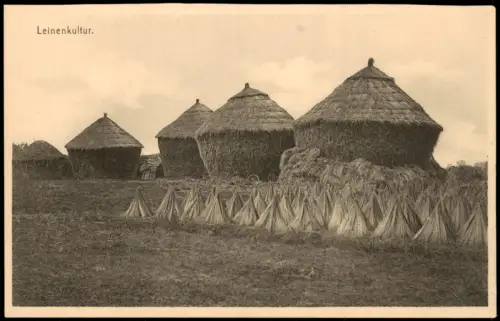 Postkaart Belgien Leinenkultur. Heugarben Heu Landwirtschaft 1922