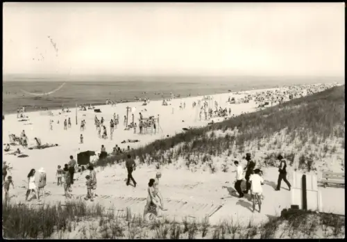 Ansichtskarte Prerow Strandleben Düne 1975