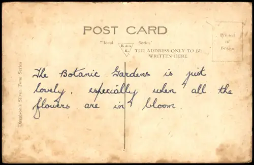 Postcard Edinburg Dùn Èideann DAFFODIL TIME AT THE BOTANIC GARDENS 1928