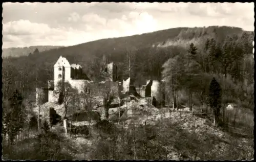 Ansichtskarte Neckargerach Minneburg - Fotokarte 1961