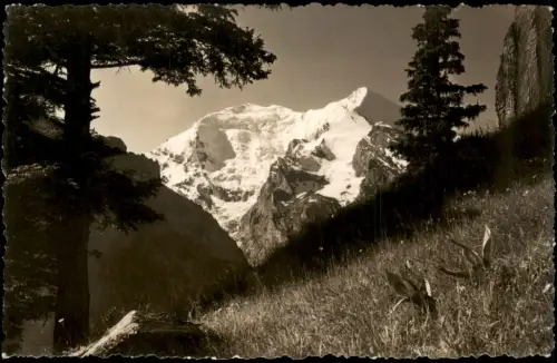 Ansichtskarte Kandersteg Balmhorn und Altels vom Allmen aus 1959