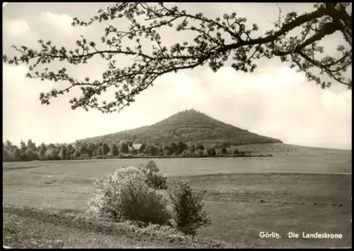 Ansichtskarte Görlitz Zgorzelec Blick zur Landeskrone zur DDR-Zeit 1978