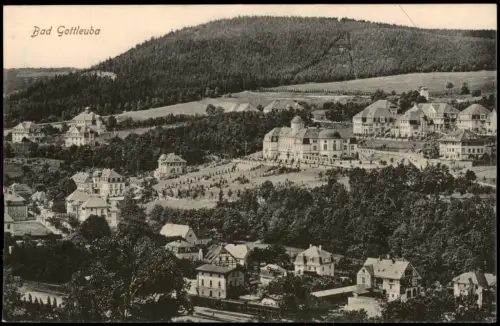 Ansichtskarte Bad Gottleuba-Bad Gottleuba-Berggießhübel Stadtblick 1915