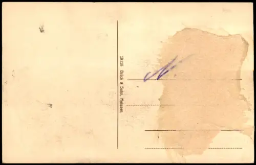 Ansichtskarte Bad Gottleuba-Bad Gottleuba-Berggießhübel Stadtblick 1915