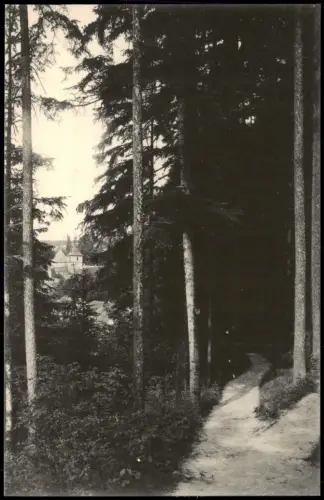 Bad Gottleuba-Berggießhübel Tannenbusch-Promenade mit Blick auf die Kirche 1915
