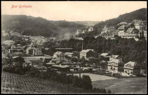 Bad Gottleuba-Bad Gottleuba-Berggießhübel Stadtpartie Fabrik 1915