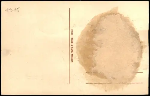 Bad Gottleuba-Bad Gottleuba-Berggießhübel Stadtpartie Fabrik 1915