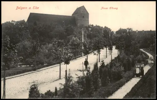 Ansichtskarte Belgern Neuer Elbweg 1915