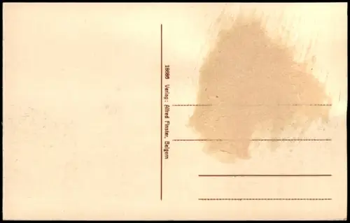 Ansichtskarte Belgern Neuer Elbweg 1915