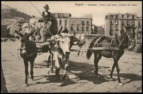 Cartolina Neapel Napoli Costume Carro con bove, cavallo ed asino. 1913