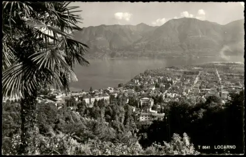 Ansichtskarte Locarno Blick auf die Stadt Palme Fotokarte 1963