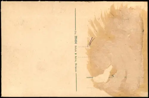 Ansichtskarte Nossen Stadtpartie 1917
