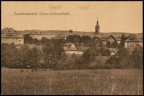 Ansichtskarte Großschweidnitz (OL) Swóńca Blick auf die Landesanstalt 1917