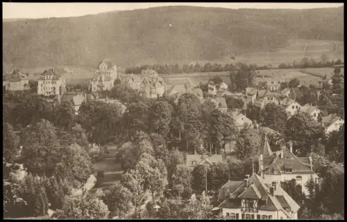 Ansichtskarte Bad Elster Blick von der Apelt-Hütte 1917