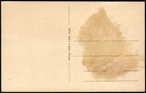 Ansichtskarte Bad Elster Stadtblick mit Kirche 1917