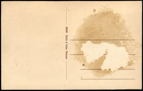 Ansichtskarte Bad Elster Partie an der Stadt Stadtvilla 1917