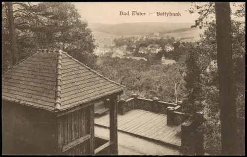 Ansichtskarte Bad Elster Bettybank - Stadtblick 1917